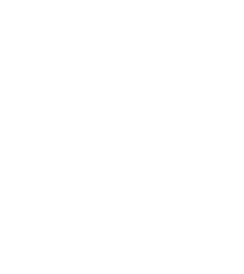 Logo MSPRO Foundation
